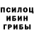 Псилоцибиновые грибы Cubensis Denchic Barsikov