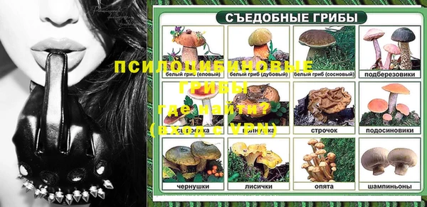 стафф Заволжск