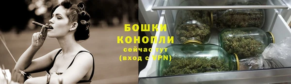 стафф Заволжск