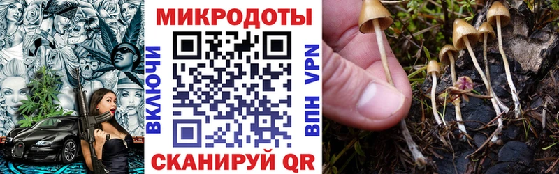Купить Карачев Псилоцибиновые грибы прущие грибы